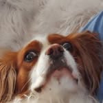 Lou Robin Doran - @lourobindoran - Instagram