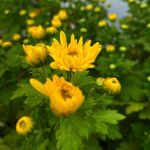 Rob indoree - @robindoree - Instagram