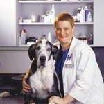 Robin Downing - @drrobindvm1 - Instagram