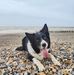 Robin Downing - Facebook