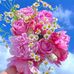 Robin Shaikh Driver - Facebook