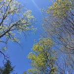 Robin Duclos - @lesreclusions - Instagram