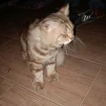 robin duda - @robin_duda - Instagram