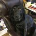 Robin Dunlop - Facebook