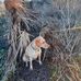 Robin Dunn - Facebook