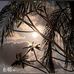 Robin Dunn - Facebook