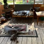Robin Eads Crabtree - @robineadscrabtree - Instagram