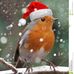 Robin Easterday - Facebook