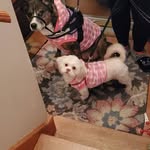 Robin Eastman Geisler - @geisler.robin - Instagram