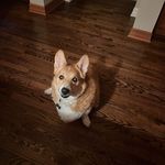 Robin Eaves Zinda - @bmwlady1313 - Instagram