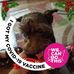 Robin Timpe Eaves - Facebook