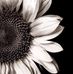Robyn Simpson-Eaves - Facebook