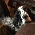 Robin Edgar - @robine1955 - Instagram