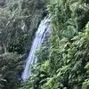 robinedgar16 - @robinedgar16 - TikTok