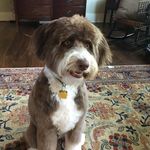Robin Milner Edington - @robin.m.edington - Instagram