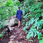 Robin_elias - @elias_ron08 - Instagram