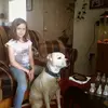 Robin Ellis - @robin.ellis72 - TikTok