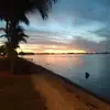 Robin Ellis - @robin.ellis1 - TikTok