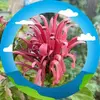Robin Ellis - @robin.ellis42 - TikTok