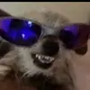 robinelson - @robinnelson_do_grau - TikTok