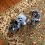 Robin Erb Schneider - @r.e.schneider61 - Instagram
