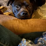 Robyn Ettinger - Facebook