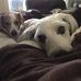 Robin Everage Myers - Facebook