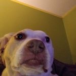 Robin Everhart - @everhart_robin - Instagram