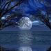 Robin Manning Everhart - Facebook