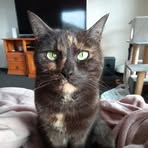 Robyn Everson - Facebook