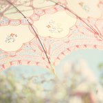 Robin Everts - @suruloukitty - Instagram