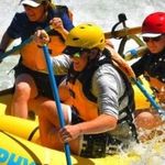 Robin Everts - @reeverts - Instagram