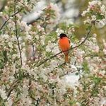 Robin Farber - @robin.farber.7 - Instagram