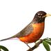 Robin Feather - Facebook