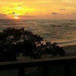 Robin Feathers - @robin.feathers - Instagram