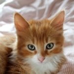 RobinFeather - @robinfeather01 - Instagram