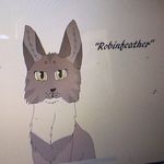 Robinfeather - @robin_and_alder - Instagram