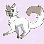 robinfeather ❤😻 - @thereal_robinfeather - Instagram