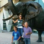 Robin de la Feld - @rdelafeld - Instagram