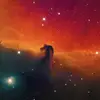robinfeldman808 - @robinfeldman808 - TikTok