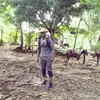 robinferminmore26 - @robinferminmore26 - TikTok