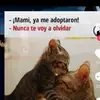 robinferminrobles - @robinferminrobles - TikTok