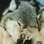 Robin Ferrell-Rodriguez - @robin.mi.ni.s - Instagram