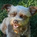Robin Field - @robin.field.71 - Instagram