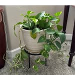 Robin Finkel - @finkel3516 - Instagram