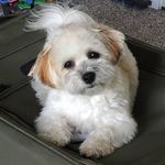 Robin Finkel - @rfinkel74 - Instagram