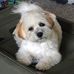Robin Finkel - Facebook