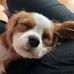 Robin Finlayson - Facebook