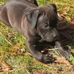 Robin Finlayson - Facebook