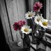 Robin Finney - Facebook